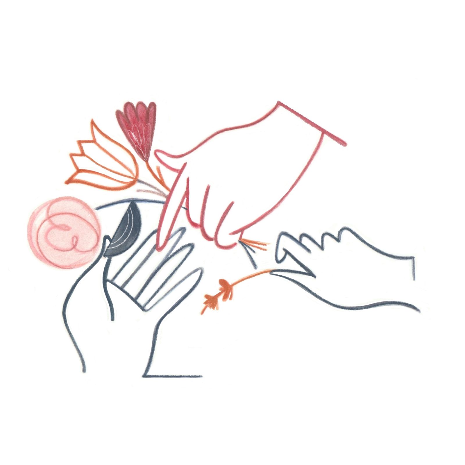 Libro Illustrato